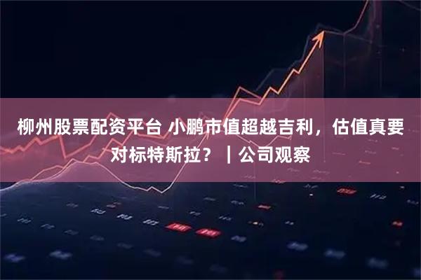 柳州股票配资平台 小鹏市值超越吉利,估值真要对标特斯拉?|公司观察