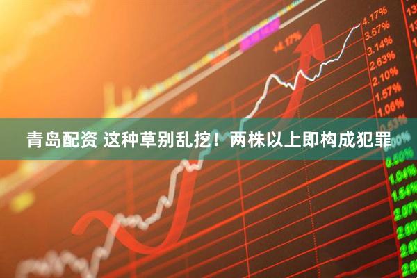 青岛配资 这种草别乱挖！两株以上即构成犯罪